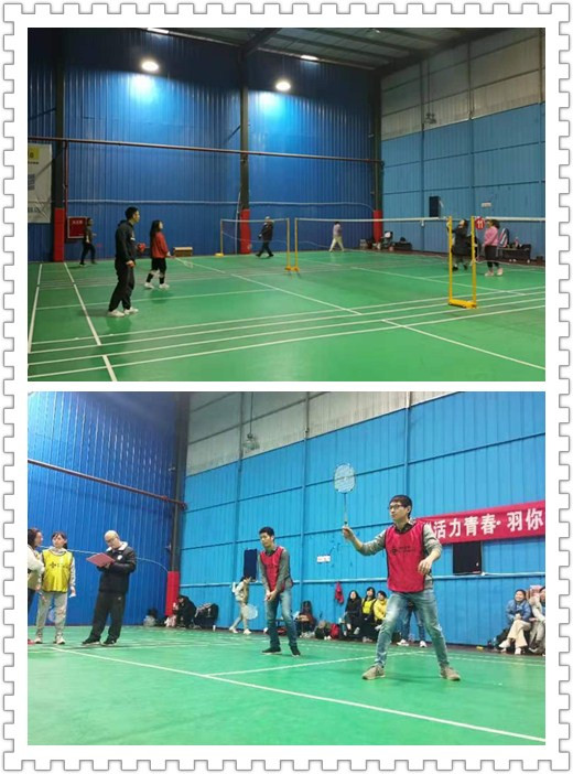 羽毛球2020 羽毛球2020