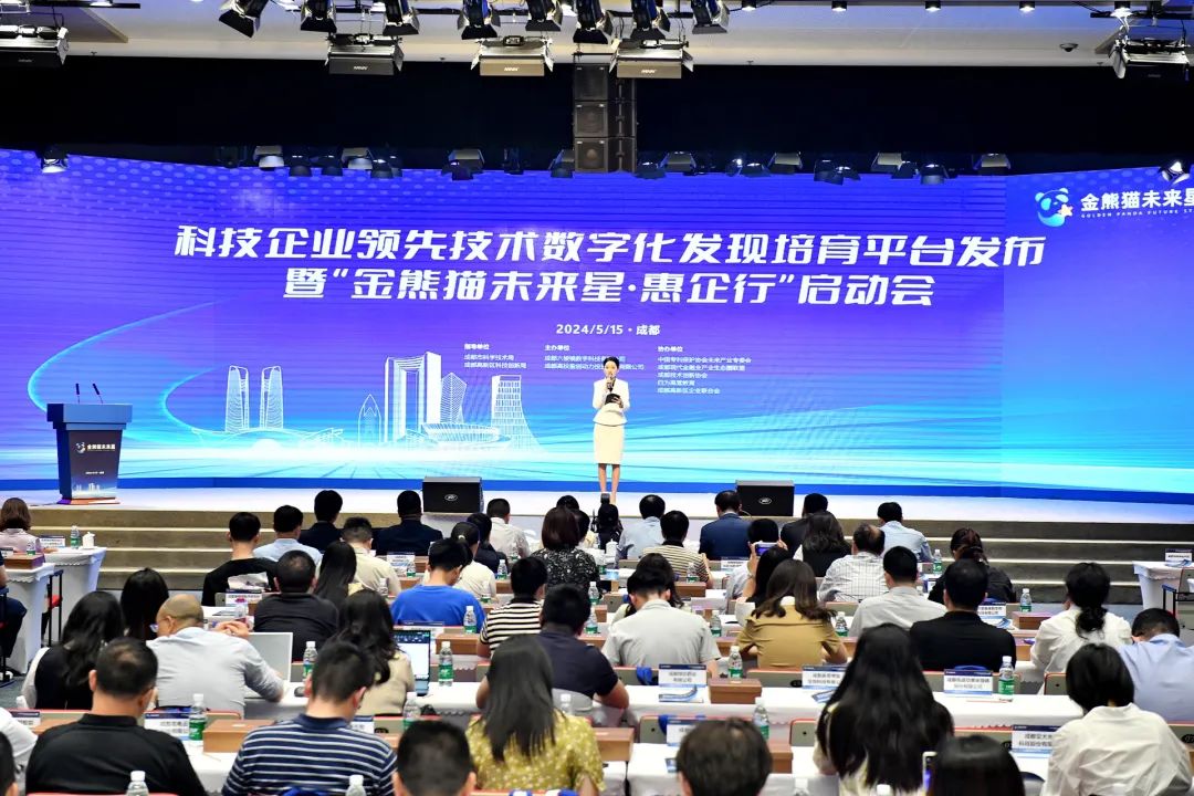 金熊猫1 金熊猫1